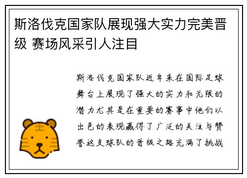 斯洛伐克国家队展现强大实力完美晋级 赛场风采引人注目