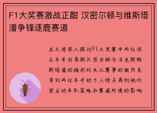 F1大奖赛激战正酣 汉密尔顿与维斯塔潘争锋逐鹿赛道