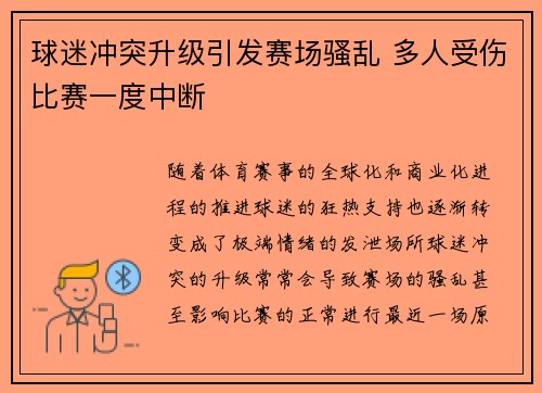 球迷冲突升级引发赛场骚乱 多人受伤比赛一度中断